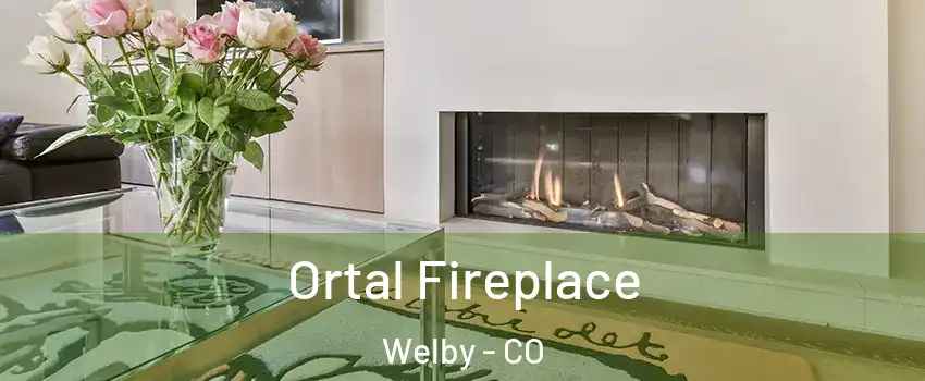  Ortal Fireplace Welby - CO