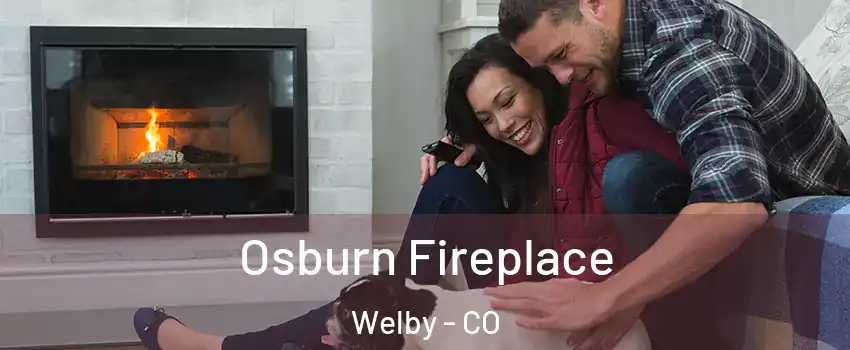  Osburn Fireplace Welby - CO