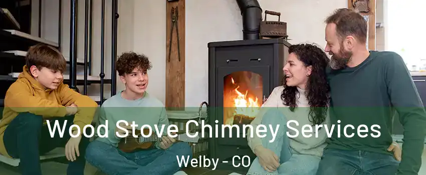  Wood Stove Chimney Services Welby - CO